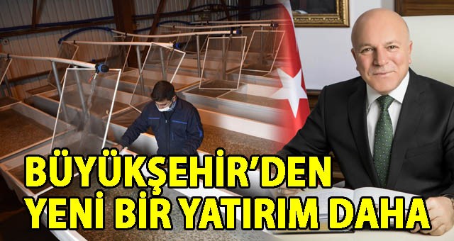 BÜYÜKŞEHİR’DEN YENİ BİR HAMLE YATIRIM DAHA: YAVRU ALABALIK ÜRETİM TESİSİ