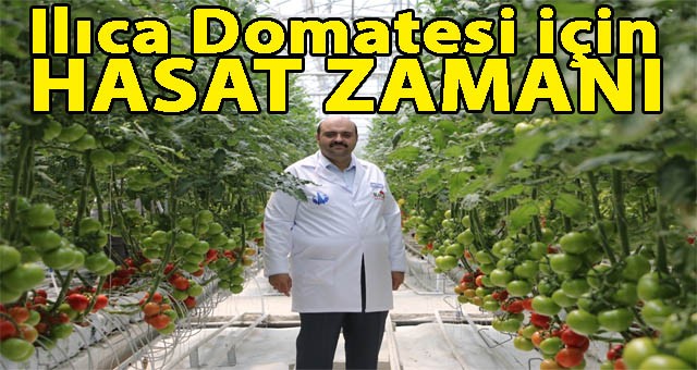 İlk kesimi Sanayi ve Teknoloji Bakanı Mustafa Varank yapacak