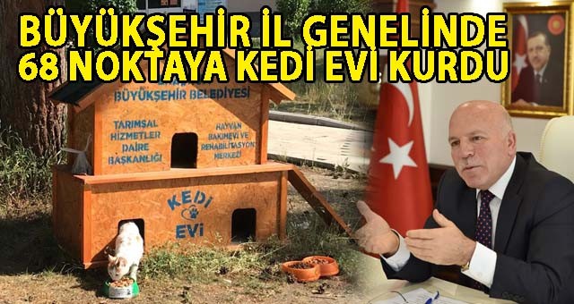 BÜYÜKŞEHİR İL GENELİNDE 68 NOKTAYA KEDİ EVİ KURDU