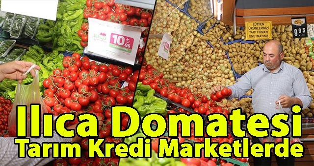 Ilıca Domatesi Tarım Kredi Marketlerde