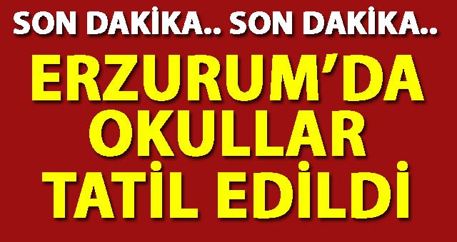 Erzurum'da Okullar Tatil Edildi