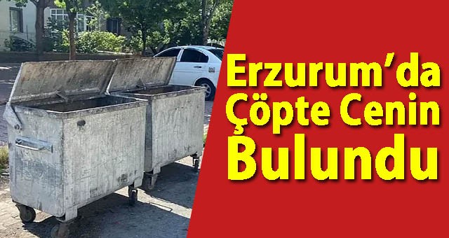 Erzurum’da Çöpte Cenin Bulundu