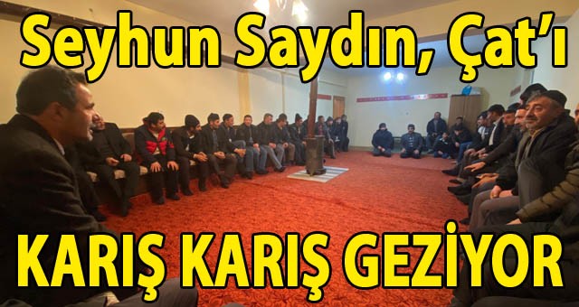 Seyhun Saydın, Çat'ı Karı Karış Geziyor