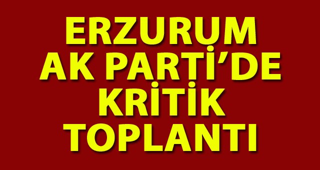 Erzurum AK Parti'de Kritik Toplantı