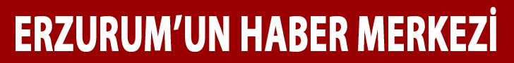 logo yanı
